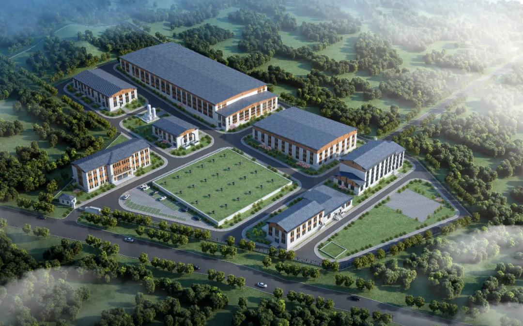 1605079487127068.jpg 18.jpg